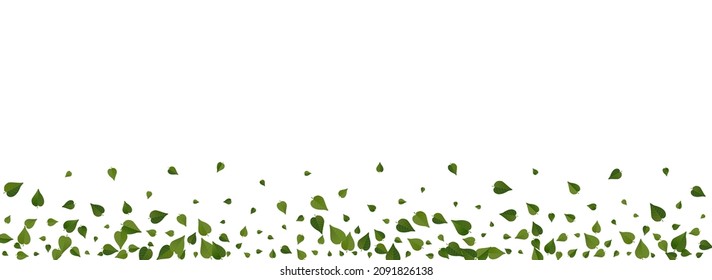 Lime Greens Realistic Vector Panoramic White Background Design. Fresh Leaves Wallpaper. Olive Foliage Ecology Pattern. Leaf Falling Banner.