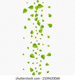 Lime Greens Realistic Vector Transparent Background Concept. Nature Leaf Illustration. Swamp Leaves Blur Design. Foliage Tea Template.
