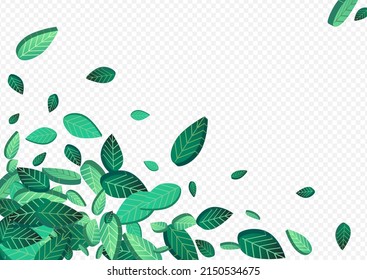 Lime Greens Realistic Vector Transparent Background Branch. Swirl Leaf Pattern. Green Foliage Nature Background. Leaves Wind Plant.