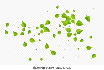 Lime Greens Realistic Vector Transparent Background Plant. Falling Leaf Poster. Green Leaves Flying Template. Foliage Motion Brochure.