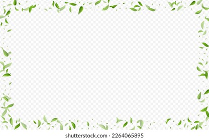 Lime Greens Realistic Vector Transparent Background Poster. Transparent Leaves Template. Forest Foliage Herbal Brochure. Leaf Abstract Plant.