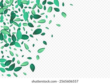 Lime Greens Realistic Vector Transparent Background Backdrop. Forest Leaf Illustration. Forest Leaves Motion Template. Foliage Ecology Pattern.