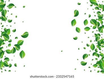 Lime Greens Spring Vector White Background. Transparent Leaves Illustration. Green Leaf Abstract Brochure. Foliage Flying Banner.