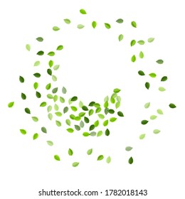 Lime Greens Swirl Vector Pattern. Tree Leaf Banner. Grassy Foliage Fly Wallpaper. Leaves Organic Backdrop.