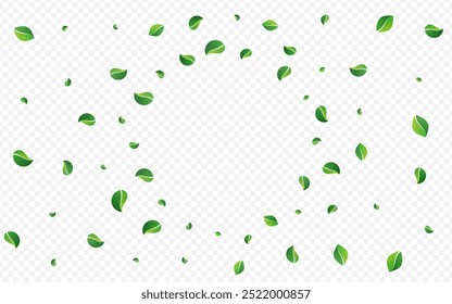 Lime Greens Swirl Vector Transparent Background. Transparent Foliage Branch. Green Leaves Realistic Pattern. Leaf Abstract Brochure.