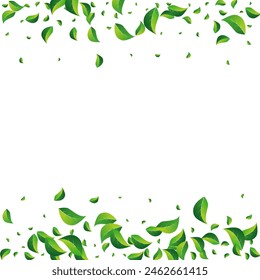 Lime Greens Swirl Vector White Background. Realistic Foliage Template. Grassy Leaves Falling Plant. Leaf Herbal Brochure.