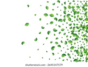 Lime Greens Swirl Vector White Background. Herbal Foliage Wallpaper. Olive Leaves Motion Border. Leaf Forest Design.