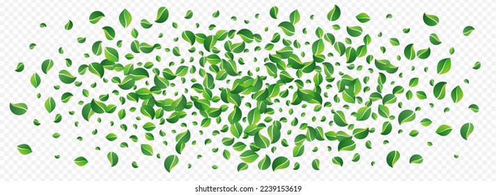 Lime Greens Transparent Vector Panoramic Transparent Background. Realistic Foliage Wallpaper. Forest Leaves Motion Border. Leaf Abstract Banner.