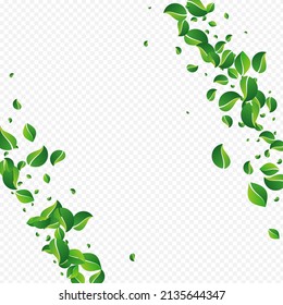 Lime Greens Tree Vector Transparent Background Stock Vector (Royalty ...