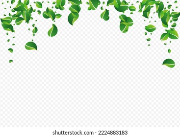 Lime Greens Tree Vector Transparent Background. Ecology Leaves Banner. Green Leaf Blur Backdrop. Foliage Motion Brochure.