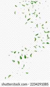 Lime Greens Tree Vector Transparent Background Pattern. Motion Leaf Illustration. Green Foliage Abstract Backdrop. Leaves Forest Brochure.