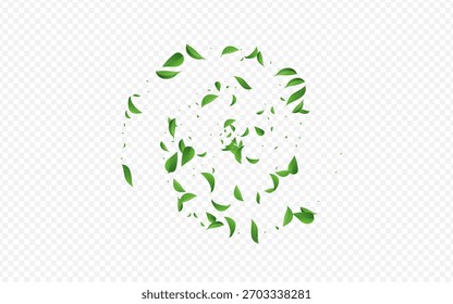 Lime Greens Tree Vektor transparenter Hintergrund Konzept. Naturhintergrund. Moorfolien wirbeln Tapete. Verlässt das Fallmuster.