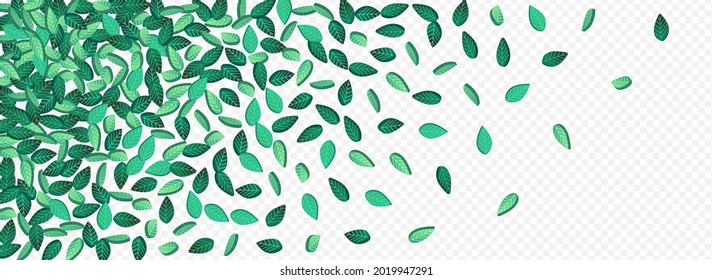 Lime Greens Wind Vector Panoramic Transparent Background Pattern. Tree Foliage Backdrop. Green Leaves Ecology Poster. Leaf Motion Wallpaper.