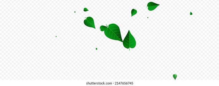 Lime Greens Wind Vector Panoramic Transparent Background Plant. Spring Foliage Illustration. Green Leaves Transparent Border. Leaf Motion Concept.