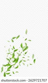Lime Greens Wind Vector Transparent Background Template. Realistic Foliage Pattern. Mint Leaf Flying Border. Leaves Blur Plant.
