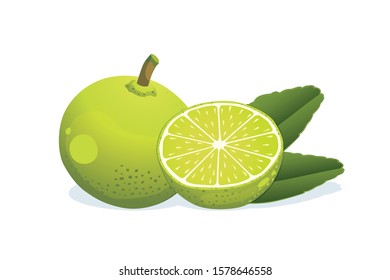 Lime and half with leaves isolated on white background.