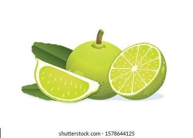 Lime and half with slice isolated on white background.