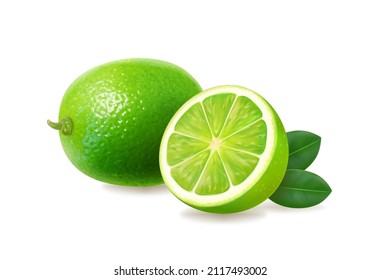 Lime, mitad y fruta jugosa con hojas verdes. Cítricos realistas. 3d vector.