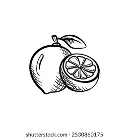 Lime Hand-Drawn Food Vector Icon