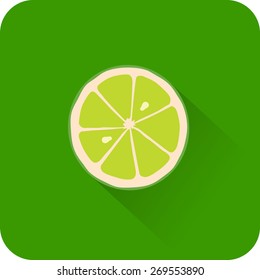Lime icon. Flat design style modern vector illustration