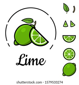 Lime icon set. Whole and half vector citrus isolated on white background. Cartoon style lime slices illustration for kids. Exotic tropical fruits. Healthy organic food logo, sign.