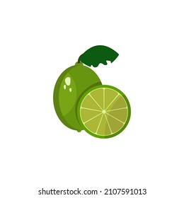 lime icon vector design templates