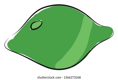 Lime illustration vector on white background