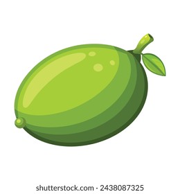 
Lime isolated flat vector illustration.
