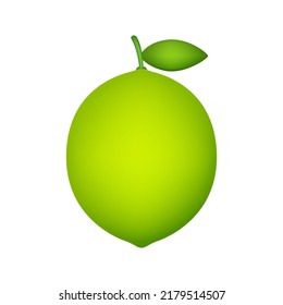Lime isolated on white background