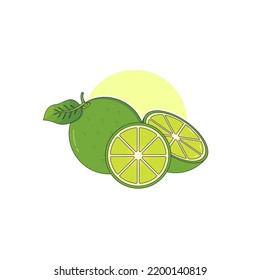 Lime Isolated On White Background Lime Vector image