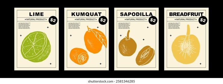 Lime, kumquat, sapodilla, breadfruit. Set of posters of fruits and citrus in a abstract draw design. Simple, flat design. Patterns and backgrounds. Perfect for poster, cover, banner.