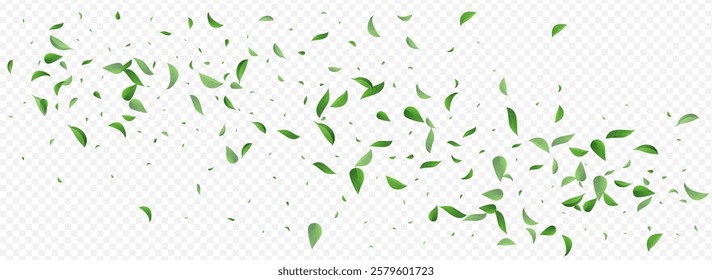 Lime Leaf Abstract Vector Panoramic Transparent Background Border. Swirl Leaves Poster. Green Greens Wind Illustration. Foliage Blur Pattern.