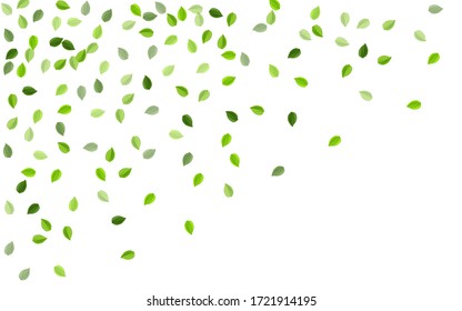 Lime Leaf Abstract Vector Wallpaper. Falling Foliage Background. Swamp Greens Herbal Border. Leaves Blur Plant.