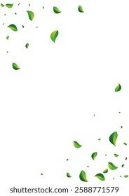 Lime Leaf Blur Vector White Background. Fresh Leaves Wallpaper. Green Foliage Falling Design. Greens Swirl Banner.