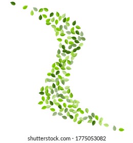 Lime Leaf Ecology Vector Branch. Spring Leaves Wallpaper. Olive Foliage Transparent Design. Greens Fresh Backdrop.