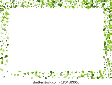 Lime Leaf Ecology Vector Pattern. Wind Leaves Branch. Mint Foliage Motion Backdrop. Greens Fresh Brochure.