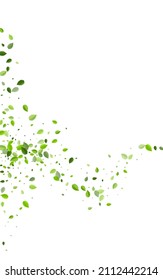 Fondo blanco del vector de ecología de la hoja de cal. Swirl Greens Brochure. Plantilla de árbol de hojas de bosque. Planta Foliage de hierbas.