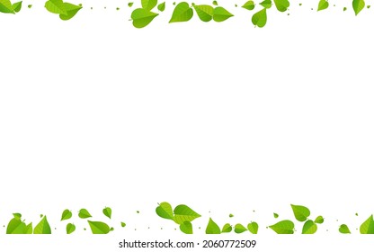 Lime Leaf Falling Vector White Background Pattern. Fly Foliage Illustration. Olive Leaves Fresh Border. Greens Ecology Banner.