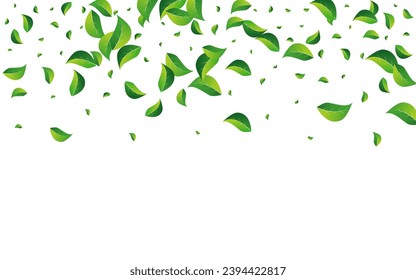 Lime Leaf Falling Vector White Background. Ecology Leaves Backdrop. Grassy Foliage Transparent Illustration. Greens Fresh Wallpaper.