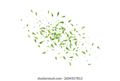Lime Leaf Falling Vector White Background Poster. Spring Greens Backdrop. Mint Foliage Flying Pattern. Leaves Fly Wallpaper.