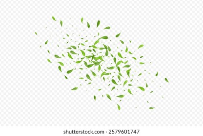 Lime Leaf Fly Vector Transparent Background Banner. Nature Leaves Concept. Green Greens Herbal Design. Foliage Realistic Wallpaper.