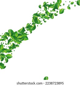Lime Leaf Fly Vector White Background. Organic Leaves Plant. Mint Foliage Ecology Brochure. Greens Spring Backdrop.