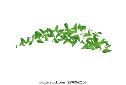 Lime Leaf Flying Vector White Background Wallpaper. Spring Leaves Illustration. Green Greens Abstract Template. Foliage Ecology Brochure.