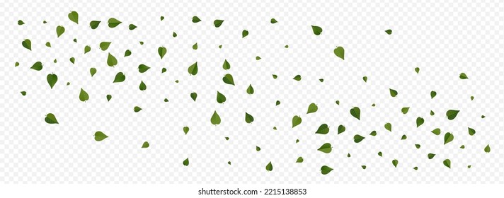 Lime Leaf Forest Vector Panoramic Transparent Background Brochure. Realistic Foliage Backdrop. Mint Leaves Fly Poster. Greens Falling Template.