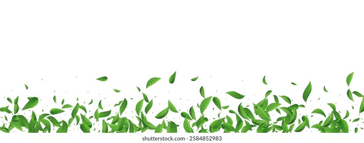 Lime Leaf Forest Vector Panoramic White Background Wallpaper. Abstract Leaves Poster. Forest Foliage Blur Design. Greens Fresh Pattern.