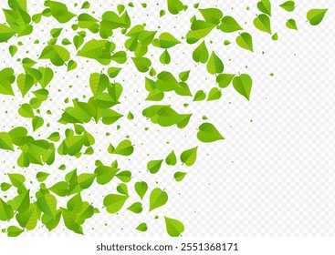 Lime Leaf Forest Vector Transparent Background Illustration. Spring Greens Branch. Mint Leaves Realistic Poster. Foliage Nature Pattern.