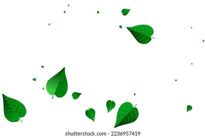 Lime Leaf Forest Vector White Background Border. Fresh Greens Concept. Forest Foliage Blur Plant. Leaves Flying Pattern.