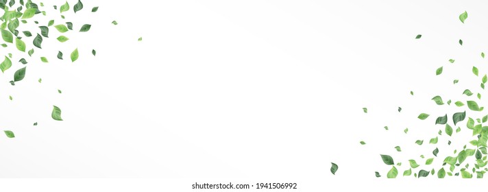 Lime Leaf Fresh Vector Panoramic White Background Branch. Blur Greenery Wallpaper. Mint Foliage Fly Backdrop. Leaves Spring Concept.