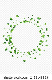 Lime Leaf Fresh Vector Transparent Background. Falling Greens Banner. Swamp Leaves Swirl Pattern. Foliage Forest Illustration.