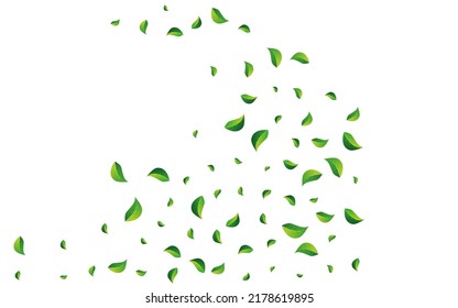 Lime Leaf Fresh Vector White Background. Blur Foliage Template. Forest Greens Motion Border. Leaves Nature Wallpaper.